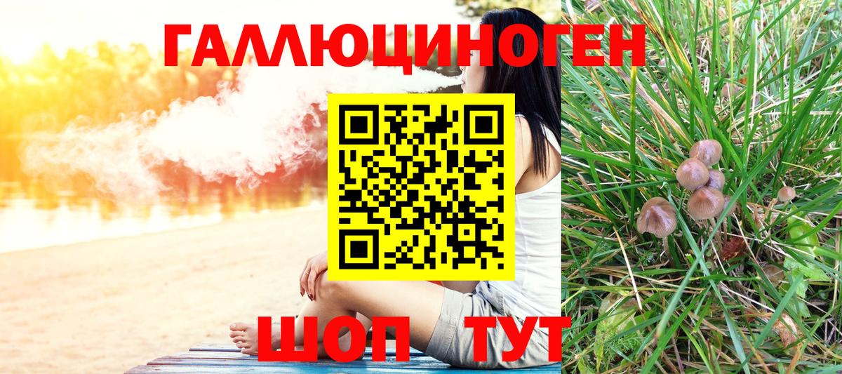 Сегежа  Псилоцибиновые грибы мухоморы  Вход с VPN 